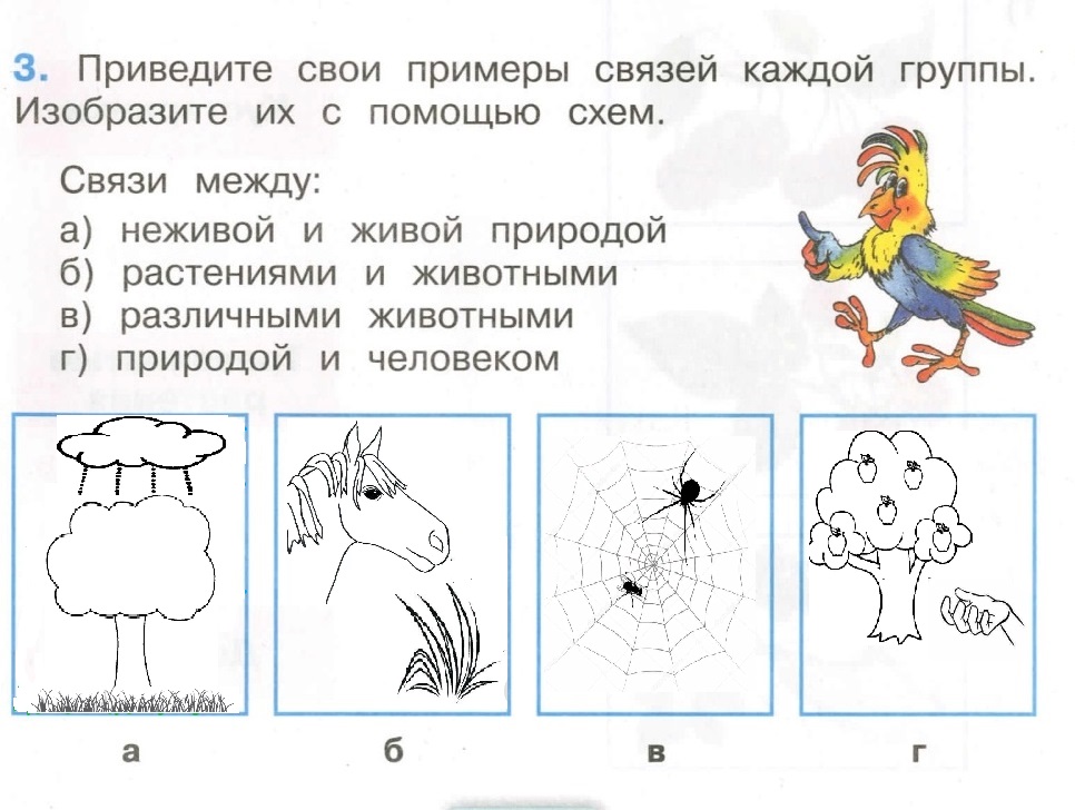 Приведи примеры связей каждой группы