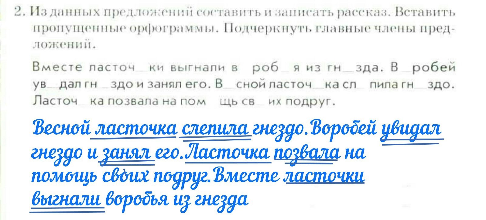 Составить предложение по схеме 3 класс голубь ответы